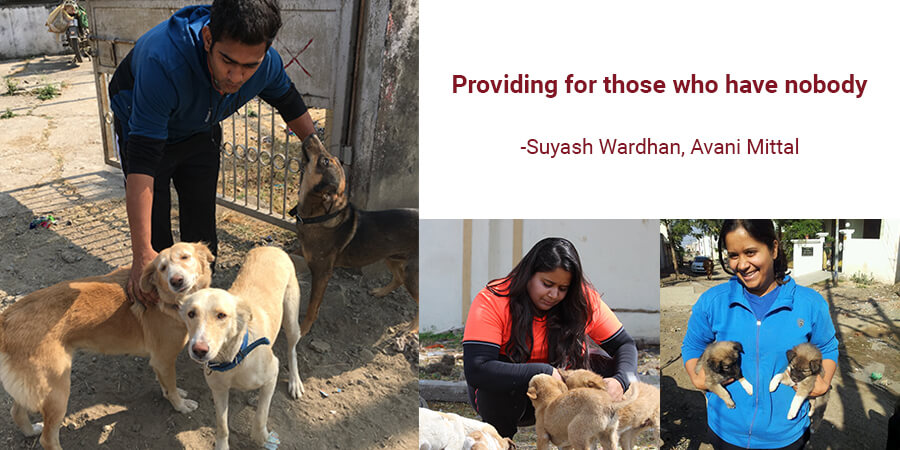 Providing for those who have Nobody- Feeding the Strays